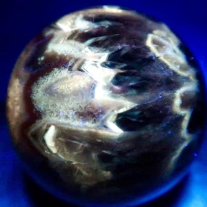 Peut inclure: Une pierre sphérique polie présentant des tons brun foncé et noir avec des inclusions cristallines translucides qui captent la lumière. La surface affiche des motifs complexes et dentelés de dépôts minéraux blancs et brun clair.