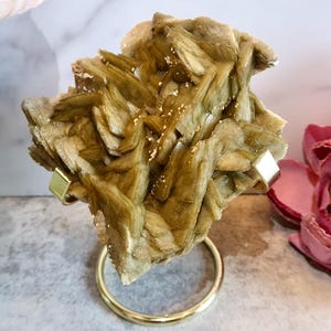 Può includere: Un esemplare minerale ruvido e stratificato nei toni del verde oliva e marrone, esposto su un supporto in metallo dorato. Il minerale ha una struttura cristallina ed è accentuato da piccole macchie di colore chiaro. Fiori rosa e bianchi sullo sfondo.
