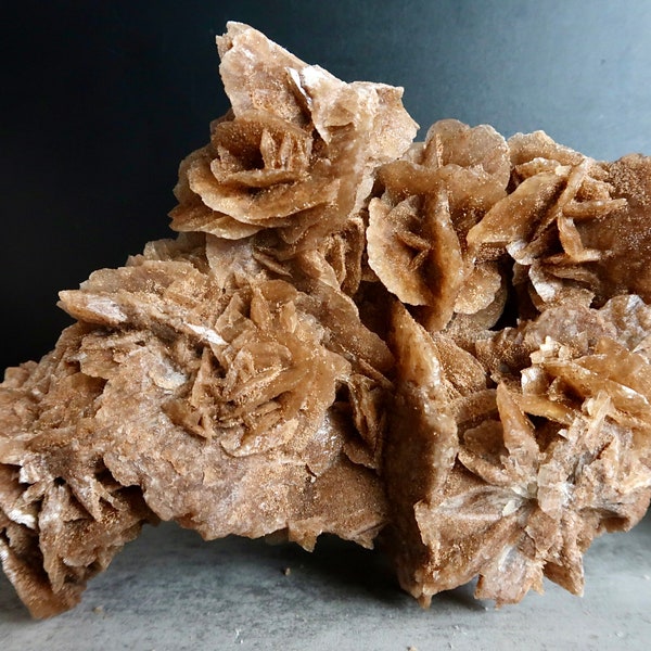 EXQUISITE X-Large 2.5 lb. Desert Rose Selenite | Gypsum Sand Rose Crystal | Sahara Desert Rose Specimen | Raw Desert Rose Crystal Cluster |