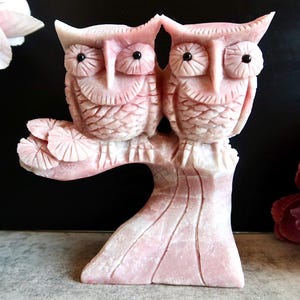 May include: A pink carved stone sculpture of two owls perched on a branch. The owls have detailed feather patterns and black eyes. The sculpture is set against a dark background, with a flower in the upper left corner.