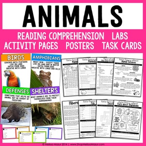 Tierwissenschaftliche Einheit | Wissenschaft Lesepassagen, Aufgabenkarten und Poster | Homeschool Arbeitsblätter zum Ausdrucken