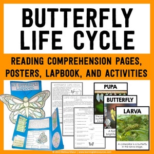 Butterfly Life Cycle Science Unit | Science Reading Passages, Lapbook, and Posters | Homeschool Worksheets Printables