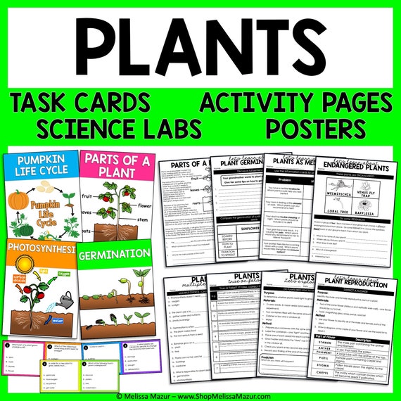 Plants Science Unit Science Reading Passages Task Cards - Etsy