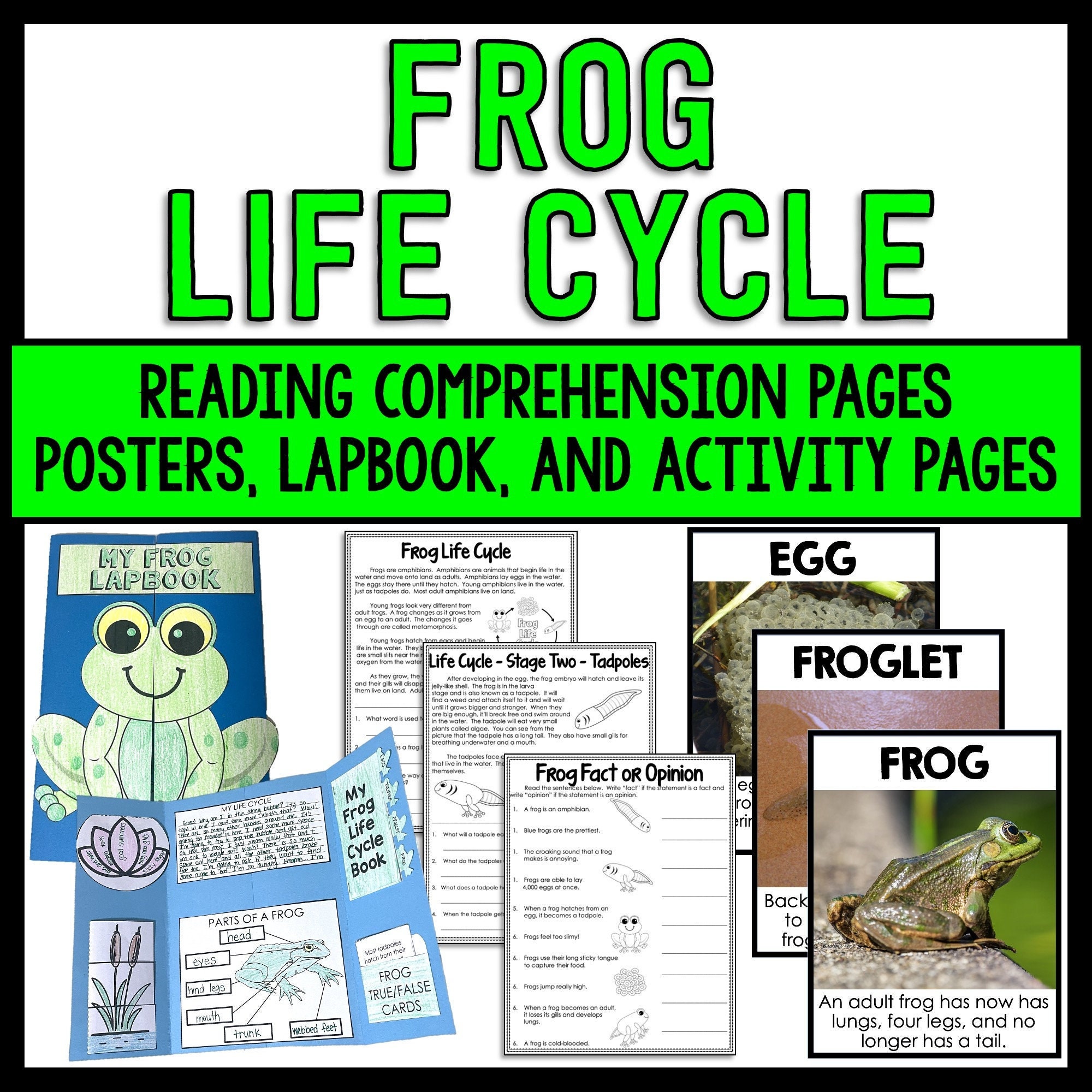 Frog Life Cycle Science Unit | Science Reading Passages, Lapbook, and Posters | Homeschool Worksheets Printables