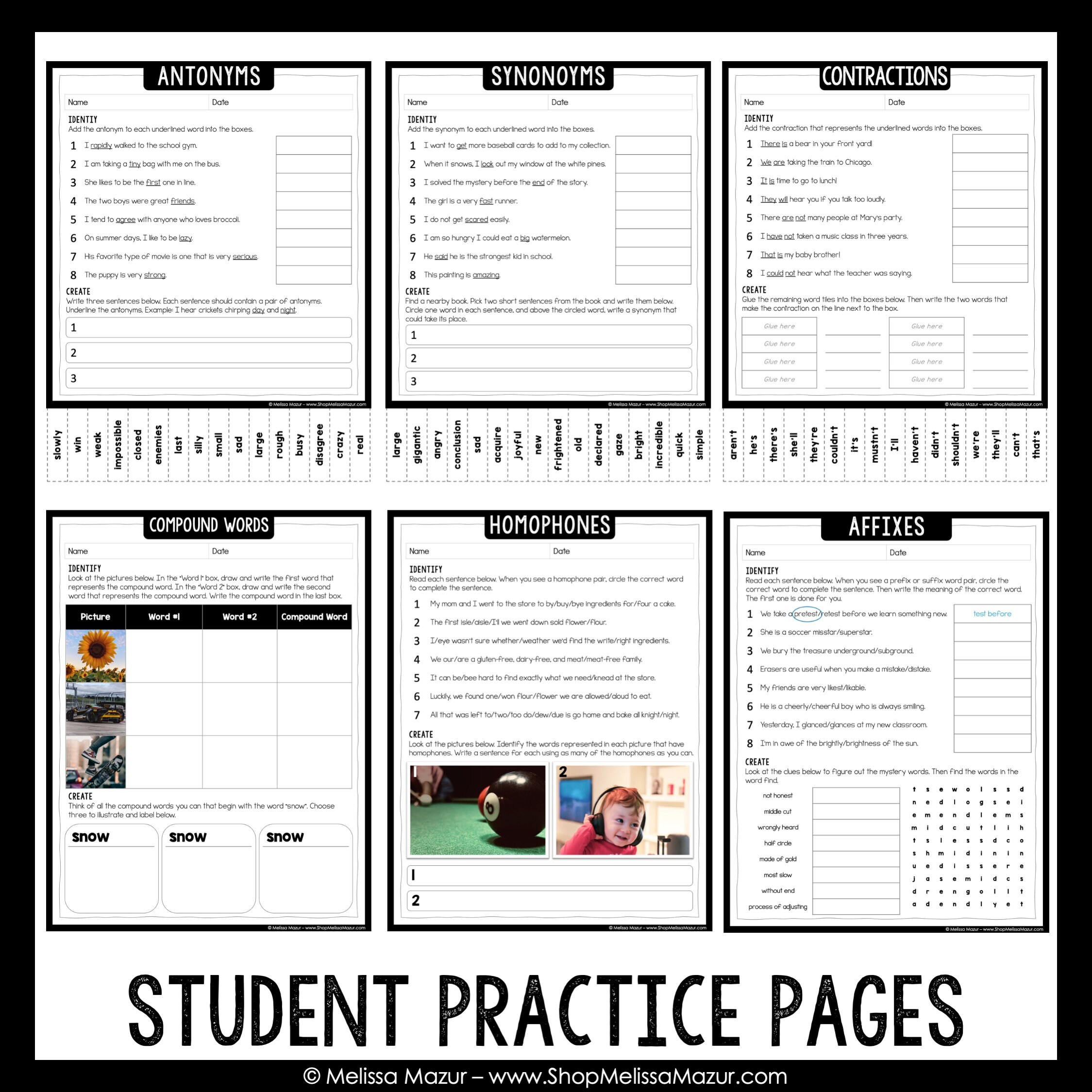 Types of Words Anchor Charts Interactive Anchor Charts DIGITAL DOWNLOAD