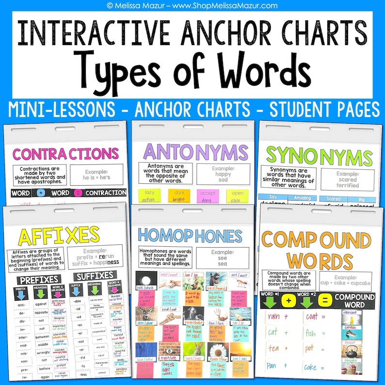 Types of Words Anchor Charts Interactive Anchor Charts DIGITAL DOWNLOAD