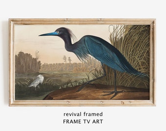 Samsung Frame TV Art Blue Heron, LG TV Art Vintage Bird, Antique Rustic Painting Instant Download, Minimalist Home Decor Large Digital Art