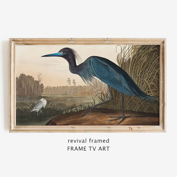 Samsung Frame TV Art Blue Heron, LG TV Art Vintage Bird, Antique Rustic Painting Instant Download, Minimalist Home Decor Large Digital Art