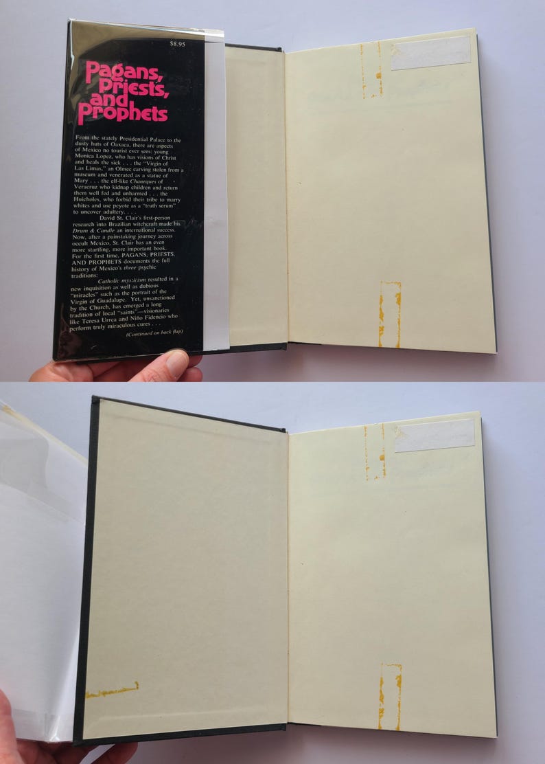 Pu&ograve; includere: Un libro aperto intitolato "Pagans, Priests, and Prophets" con copertina nera e pagine bianche. Il dorso del libro mostra il titolo in testo rosa e bianco. Il libro &egrave; tenuto aperto, rivelando le pagine interne.