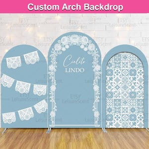 Cielito Lindo Baby Shower Arch Backdrop Cover Stand Dusty Blue Girl Party Custom Terracotta Talavera Mexcian Arched Chiara Wall Panels