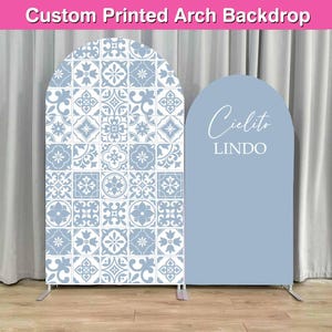 Dusty Blue Cielito Lindo  Arch Backdrop Cover Stand Baby Shower Girl Party Custom Terracotta Talavera Mexcian Arched Chiara Wall Panels