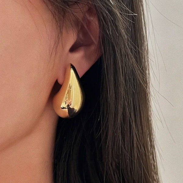 Bottega Kylie Earrings Etsy