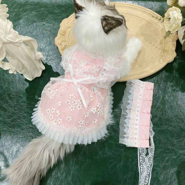 Maltese Clothes Etsy