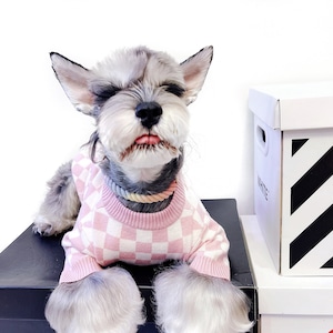 Stylish Sweaters Handmade pet clothes for dogs and cats Fall and Winter Season|Customized|Fashion|Pink