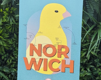 Norwich Canary A5/A4 city print | Illustrated print | Gift