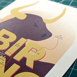 Birmingham bull A5/A4 city print Illustrated print Gift image 6