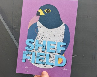 Sheffield Peregrine A5/A4 city print | Illustrated print | Gift