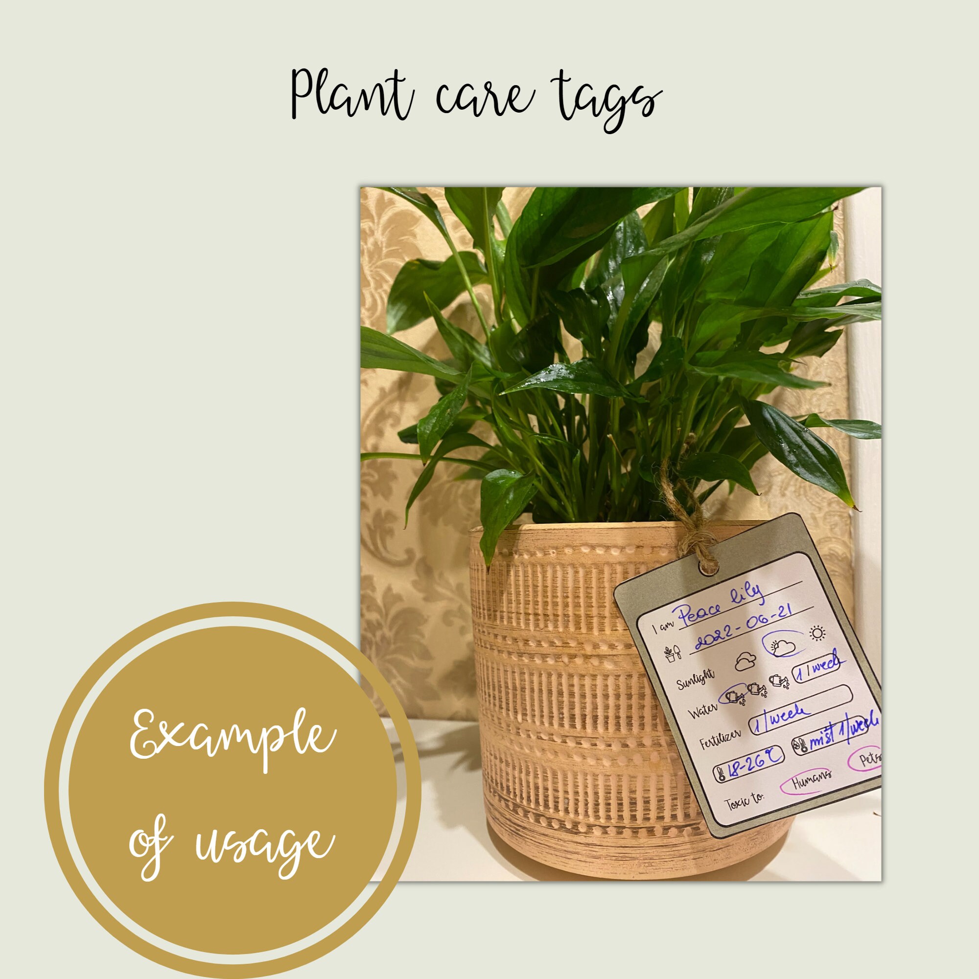 Plant Care Tags, Plant Care Label, Printable Houseplant Tag, Indoor