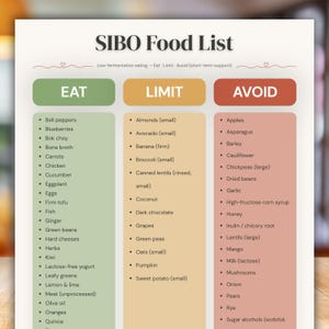 SIBO Food List Printable, Low Fermentation Diet Chart, SIBO Eat Limit Avoid Guide, Gut Health Grocery List, Dietitian Designed PDF