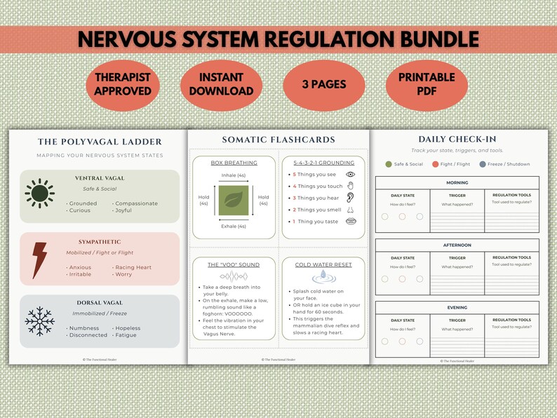 Nervous System Regulation Bundle | Polyvagal Theory Cheat Sheet ...