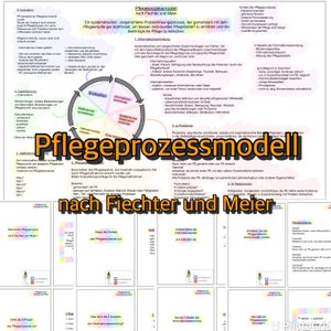Könnte beinhalten: Ein detailliertes Diagramm mit dem Titel "Pflegeprozessmodell nach Fiechter und Meier" auf Deutsch, das einen systematischen Problemlösungsprozess im Gesundheitswesen darstellt. Das Diagramm enthält Text, kreisförmige Flussdiagramme und unterstützende Informationen.
