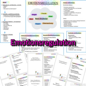 003 Emotion Regulation Summary and Flashcards