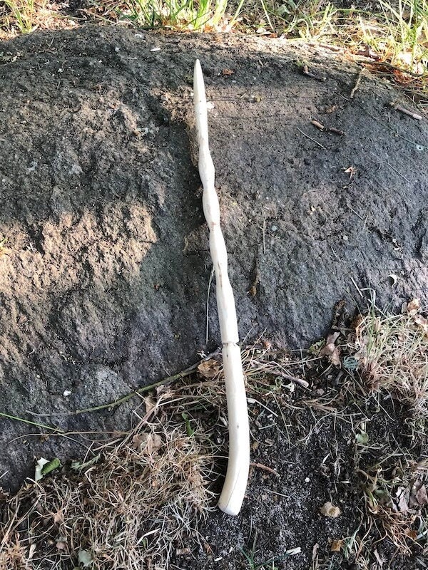 Black Birch Wand Etsy