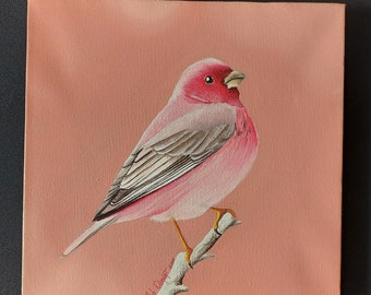 Original Bird Oil Painting, Pet Portrait, Small Canvas Art, Wall Decor, Realistic Bird, Unique Art Print, Nature Drawing, Home Gifts, Wild