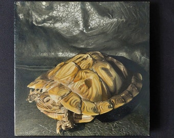 Original Dead Turtle Oil Painting, Pet Portrait, Small Canvas Art, Wall Decor, Realistic, Unique Art Print, Nature Drawing, Home Gifts, Wild