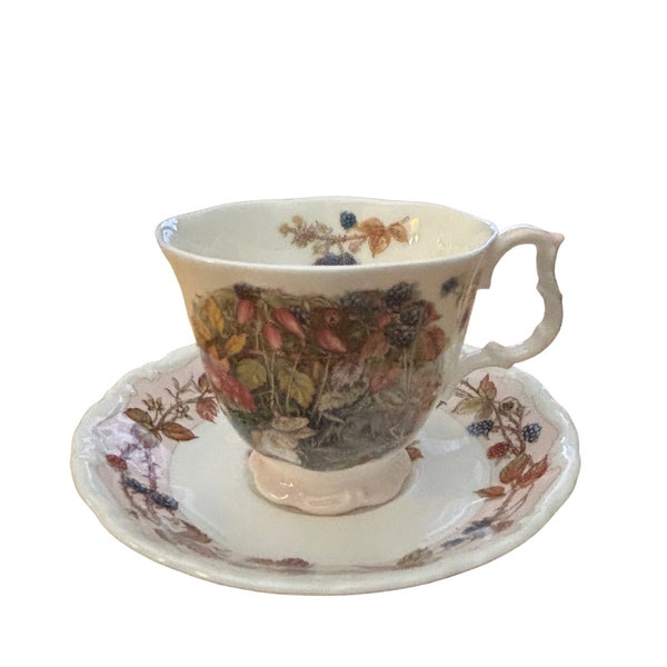Vintage Royal Doulton “Brambly Hedge” teacup and saucer