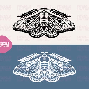 Imperial moth SVG / PNG Files I Original artwork I Instant Digital Download I Cricut I Print