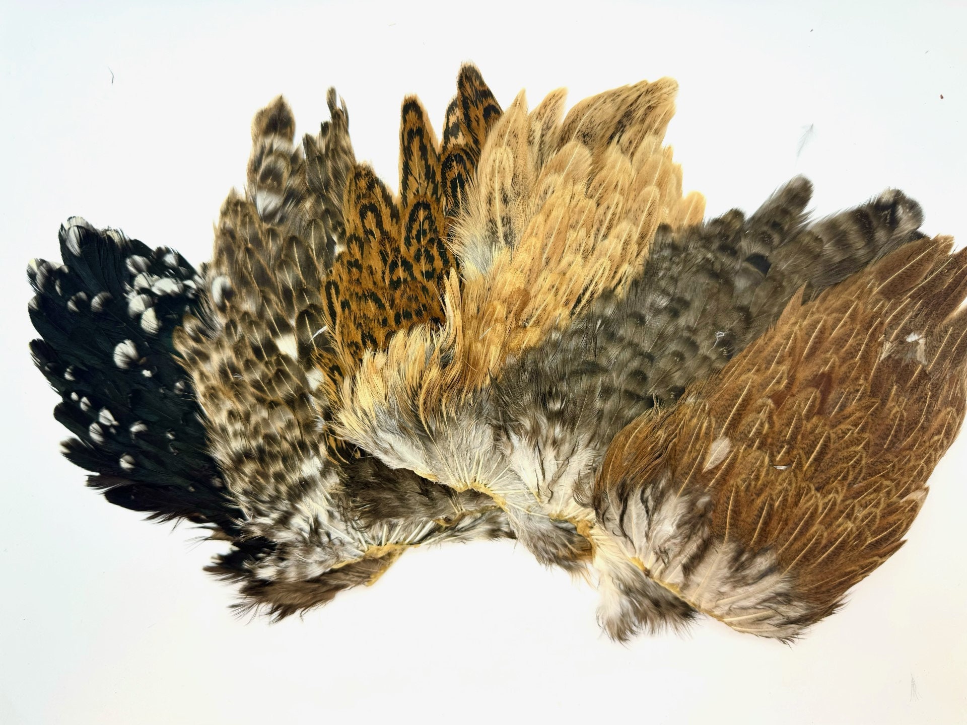 UNE COLLECTION DE plumes anciennes et son porte plume bois EUR 15,00
