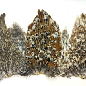 A grade hen capes vibrant natural colours for craft soft hackles fly fishing