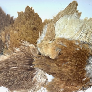 A grade brown hen capes natural colours for craft soft hackles fly fishing