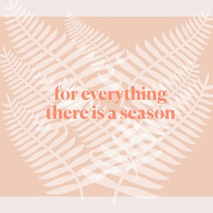 seasons