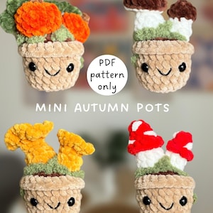 Può includere: Quattro mini vasi all'uncinetto con facce sorridenti, caratterizzati da decorazioni autunnali tra cui zucche arancioni, funghi marroni e bianchi, fiori gialli e funghi rossi e bianchi. Il testo recita PDF pattern only MINI AUTUMN POTS.