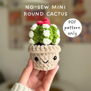 Round cactus flower - Etsy sterreich