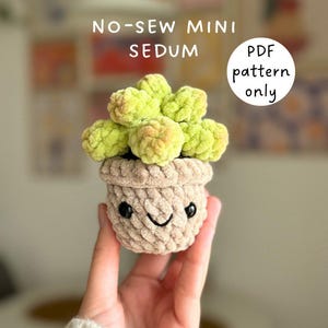 Mönster för mini-krukväxtsedum utan sömnad på engelska (PDF-fil), virkad söt amigurumi-växt, virkad mini-suckulent