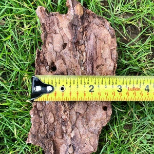 May include: A piece of textured brown bark, approximately 9 cm long, rests on green grass. A yellow measuring tape is placed across the bark, showing the length. The bark has a rough, uneven surface.