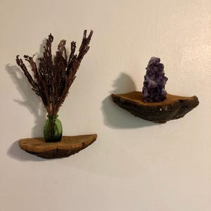 Wall Mounted Shelf Mushroom/ Cottagecore Decor/Polypore Phellinus Robiniae Mushroom