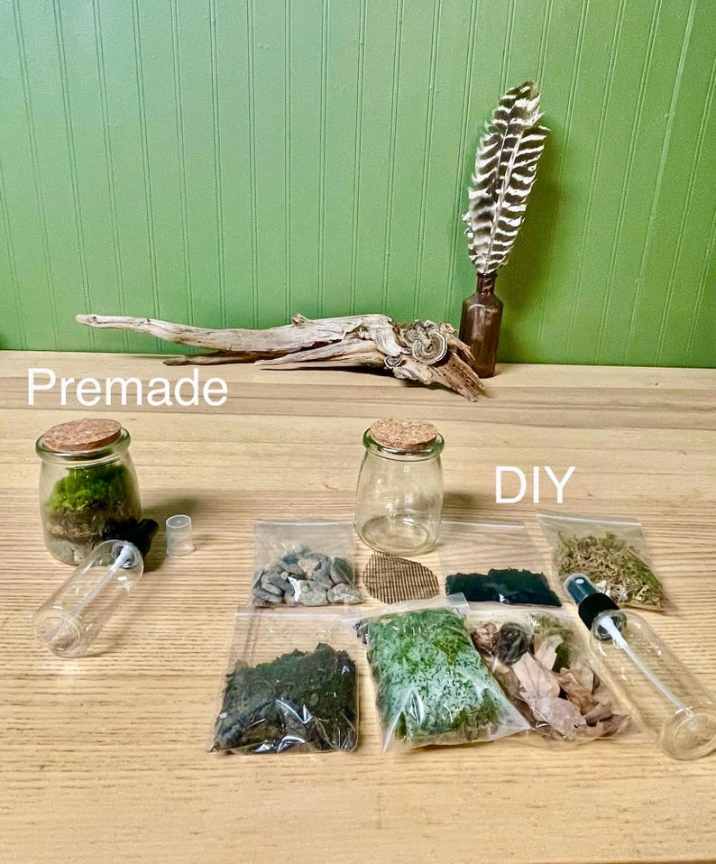 Puede incluir: Un kit de terrario con opciones prefabricadas y de bricolaje. La opci&oacute;n prefabricada incluye un frasco de vidrio con musgo. El kit de bricolaje incluye un frasco de vidrio, un pulverizador y bolsas con elementos decorativos. Las palabras "Premade" y "DIY" son visibles.