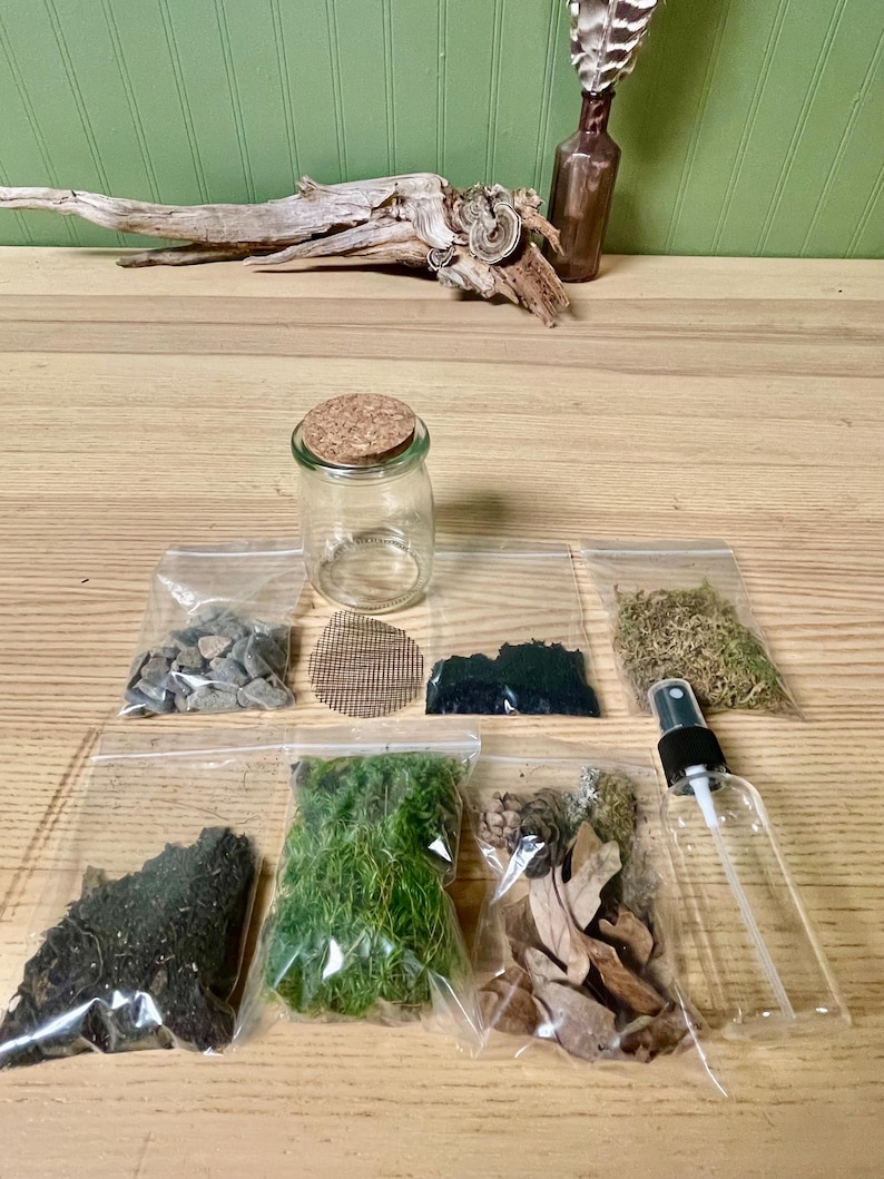 Puede incluir: Un kit de terrario con un peque&ntilde;o frasco de vidrio, tapa de corcho y varios componentes en bolsas de pl&aacute;stico transparente. Incluye piedras peque&ntilde;as, malla, tierra oscura, musgo seco, corteza, musgo verde, hojas secas y un pulverizador.