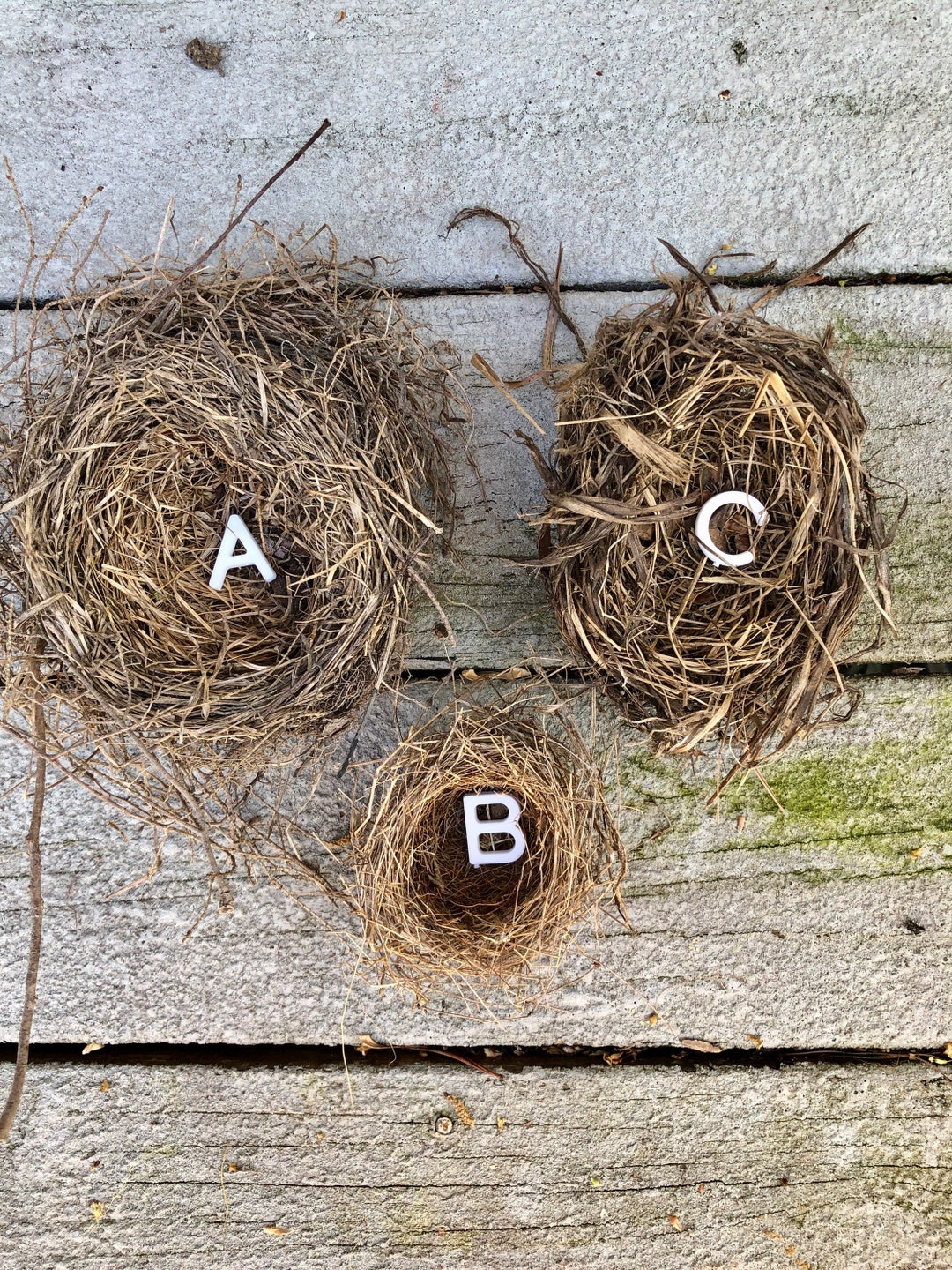 Real Birds Nest/ Natural Woven Birds Nest/ Abandoned Birds Nest