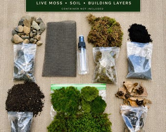 Puede incluir: Kit de terrario esencial que contiene musgo vivo, tierra y capas de construcción. Incluye un montón de piedras, una malla rectangular, un pulverizador transparente, bolsas de tierra oscura, carbón y hojas secas con pequeñas piñas.