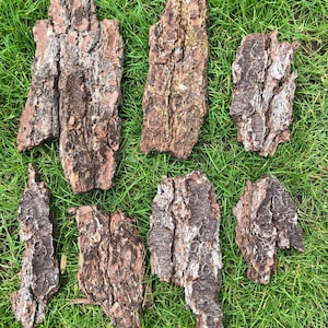 May include: A collection of irregularly shaped pieces of tree bark, displaying a variety of textures and colours. The bark is predominantly brown, with lighter, almost white, patches. The pieces are arranged on a bed of green grass.