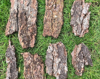 Pine Tree Bark/ Natural Pine Tree Bark for Crafts/Terrariums/ Assorted Sizes/ Sold by the Pound