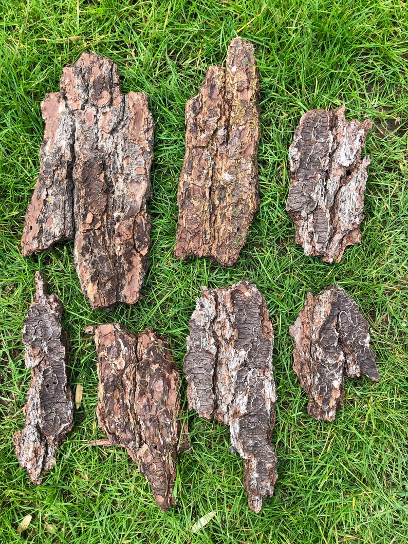 May include: A collection of irregularly shaped pieces of tree bark, displaying a variety of textures and colours. The bark is predominantly brown, with lighter, almost white, patches. The pieces are arranged on a bed of green grass.
