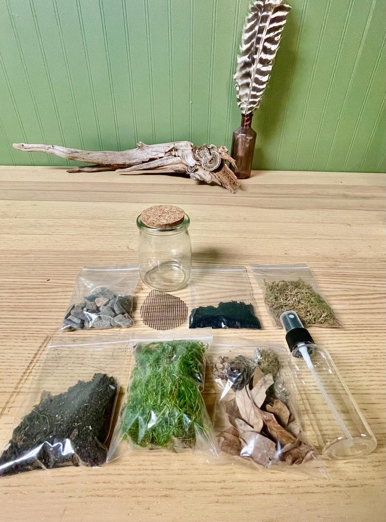 Puede incluir: Un kit de terrario con un tarro de vidrio, tapa de corcho y varios elementos naturales como rocas, musgo y hojas secas. Incluye un pulverizador y una botella peque&ntilde;a con una pluma. Los elementos est&aacute;n dispuestos sobre una superficie de madera.
