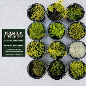 May include: An assortment of eleven black circular containers filled with various types of live moss in shades of green, yellow, and white. A dark green rectangular sign displays the text PREMIUM LIVE MOSS ASSORTED SAMPLE PACK, CHOOSE 3-12 VARIETIES, 3.25 OZ CONTAINERS, TERRARIUMS, VIVARIUMS, BONSAI, VARIETIES VARY BY AVAILABILITY.