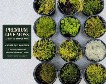 May include: An assortment of eleven black circular containers filled with various types of live moss in shades of green, yellow, and white. A dark green rectangular sign displays the text PREMIUM LIVE MOSS ASSORTED SAMPLE PACK, CHOOSE 3-12 VARIETIES, 3.25 OZ CONTAINERS, TERRARIUMS, VIVARIUMS, BONSAI, VARIETIES VARY BY AVAILABILITY.
